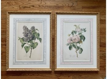 Custom Framed & Matted Botanical Antique Book Plates