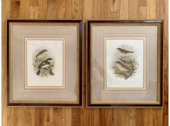 Pair Of Antique Book Plate Bird Prints Marked Madagascar
