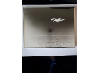 Seagull Over Ocean. Black And White Photograph. Signed.