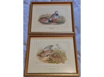 John Gould Partridge Framed Prints (2)