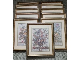 Williamsburg Flowers Of The Month Framed Prints (11)