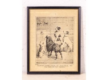 Fanny Moody ' Elliman's Embrocation Ad' 1902