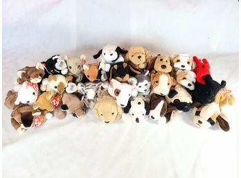 Cats And Dogs- T Y Beanie Babies