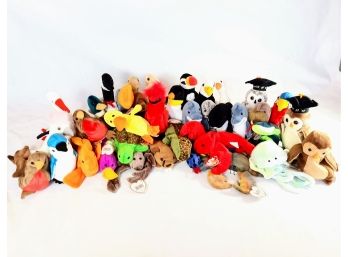 Birds, Reptiles, And Sea Creatures - T Y Beanie Babies