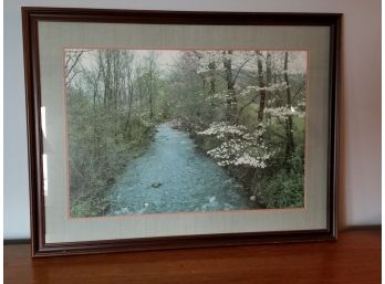 Beautiful Framed Photo Of Creek