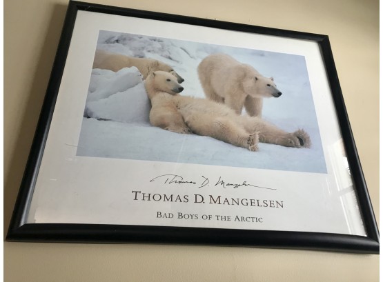 Thomas D. Mangelsen  Polar Bear Custom Framed Print