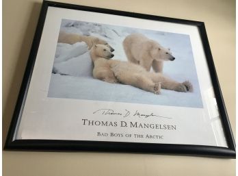 Thomas D. Mangelsen  Polar Bear Custom Framed Print