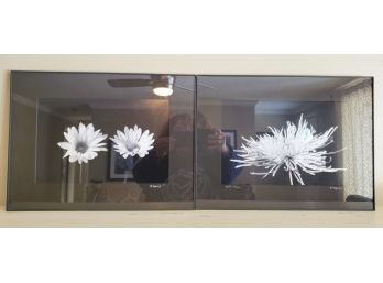 Pair Of Beautiful Signed Black & White Floral Photographs By Margaret Harris