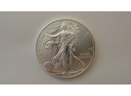 2009 US Silver Eagle 1 Troy Ounce .999 Fine Silver Coin