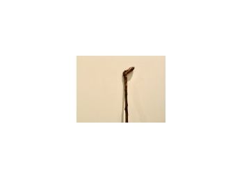 Antique Rustic Handcarved Walking Stick From Tree Branch