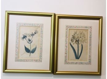 Pair Of Custom Framed And Matted Curtis's Botanical Magazine Prints