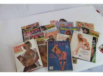Huge Lot Of Playboy  Special Supplements - 27 Issues