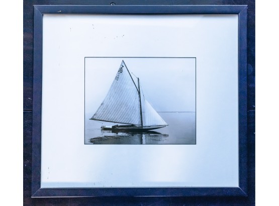 Framed Print Of A Catboat