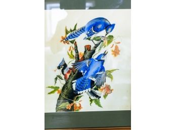 American School Watercolor Of Blue Jays