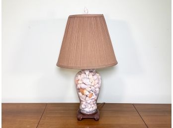 A Shell Collection Lamp
