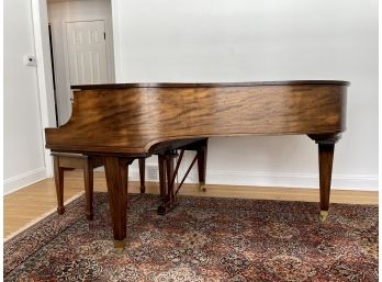 Vintage Paul G. Mehlin Violagrand Baby Grand Piano