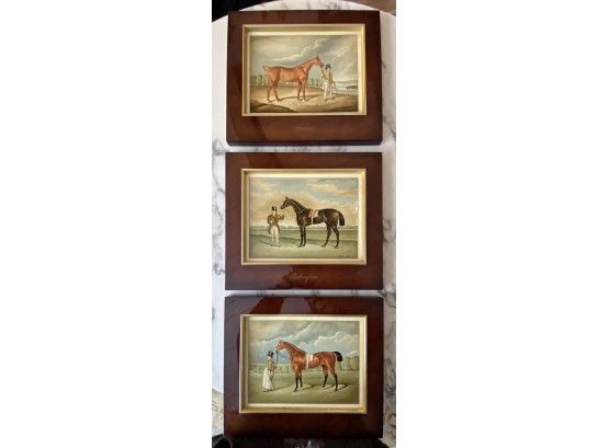 Set/3 Italian Framed Thoroughbred Race Horse Prints
