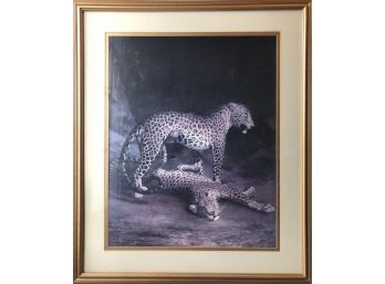 Large Beautiful Professionally Matted & Framed Two Cheetahs Artwork Print