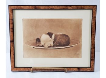 Adorable Vintage Framed Lithograph Brown & Tan American Staffordshire Sleeping Puppy In A Dish
