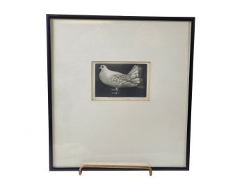 Vintage Signed & Numbered Black & White Dove Lithograph #12 Of 60