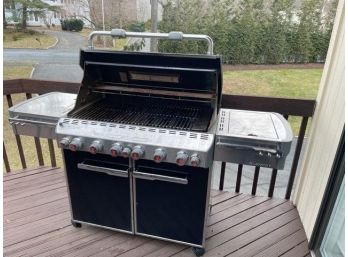Rarely Used Weber Gas Grill  Summit Line 73x30x50 May Still Be Covered In Snow