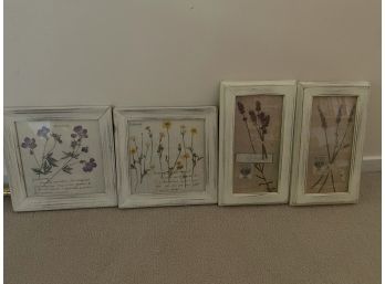 Set Of 4 Botanical Prints With White Frames 2 - 11x11 And 2 - 8x14