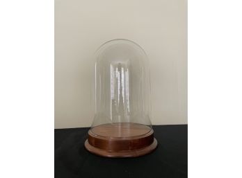 Glass Dome  Display  With Wood Base