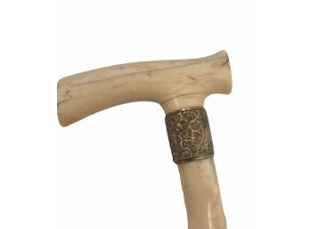 Bone Cane With Gold Fittings (A)