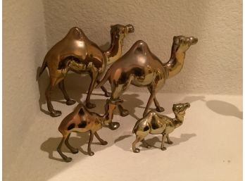 Set Of Four Brass Camels