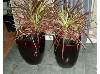 Pair Of Ceramic Planters 17 Inches Tall X 11.5 Inches Square