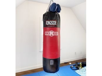 A Pro 'Ringside' Punching Bag