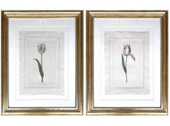Pair Of Beaded Gold Leaf Framed French Tulip Watercolors On Linen, Trowbridge Framed