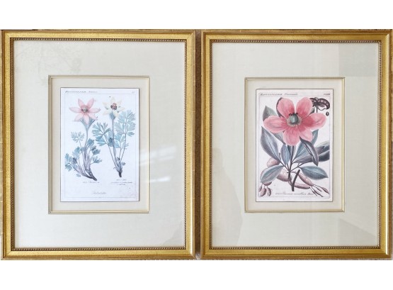 Soicher-Marin Botanical Prints With Gold Leaf Frame