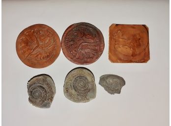 Fossils & Tooled Leather Coasters