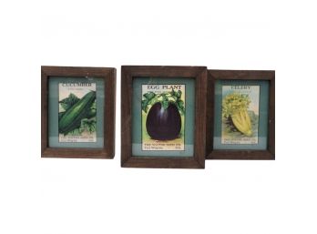 Lot Of Three Cucumber, Eggplant, And Celery Seed Packets ( Circa 1915) - Mini But Very Cool