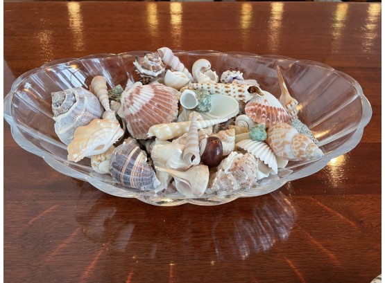 Scalloped Glass Bowl With Beautiful Shells