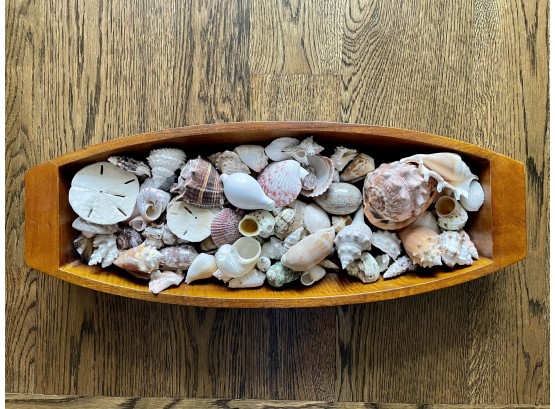 Pottery Barn Wood Bread Tray With Shell Collection