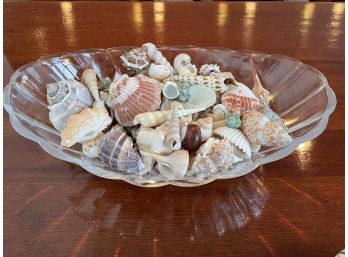 Scalloped Glass Bowl With Beautiful Shells