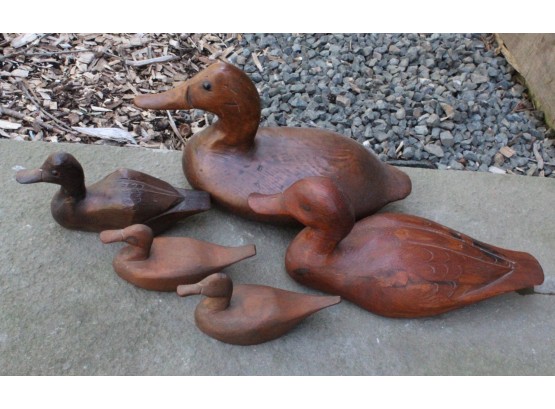 Wonderful Collection Of Decoys