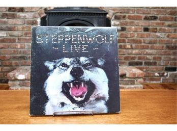 Stephenwolf Live