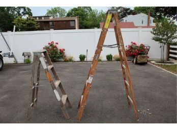 Werner W336 6 Foot Ladder And Supertred SUS04 4 Foot Ladder