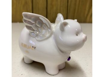 Flying Pig Birthstone Bank: February