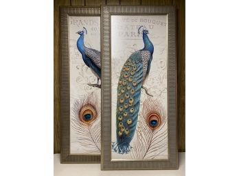 A Pretty Pair Of Peacock Prints, Gilt Frames