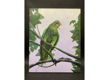 Pretty Parakeet Print On Canvas