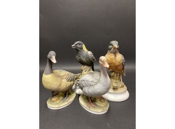 Charming Collection Of Lefton's Ceramic Bird Figurines