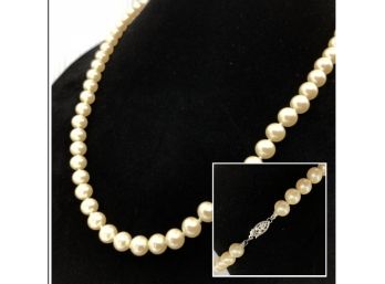 Single-Strand Pearl Bead Necklace