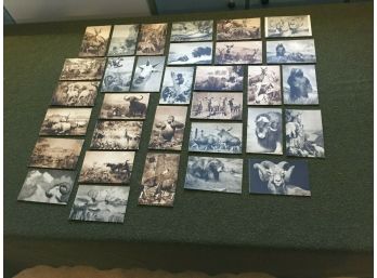 The American Museum Of Natural History. Lot Of 32 Vintage Postcards.