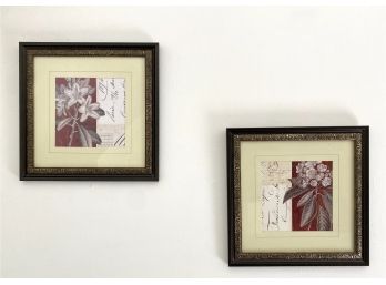 Pair Botanical Prints In Metal Accented Frames