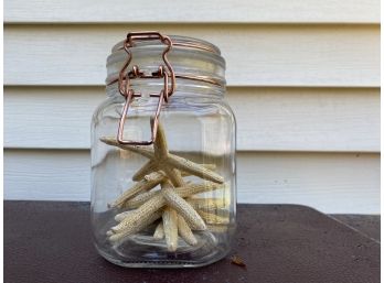 Starfish In  A Jar