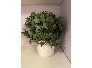 Silk Ivy In White Ceramic Pot